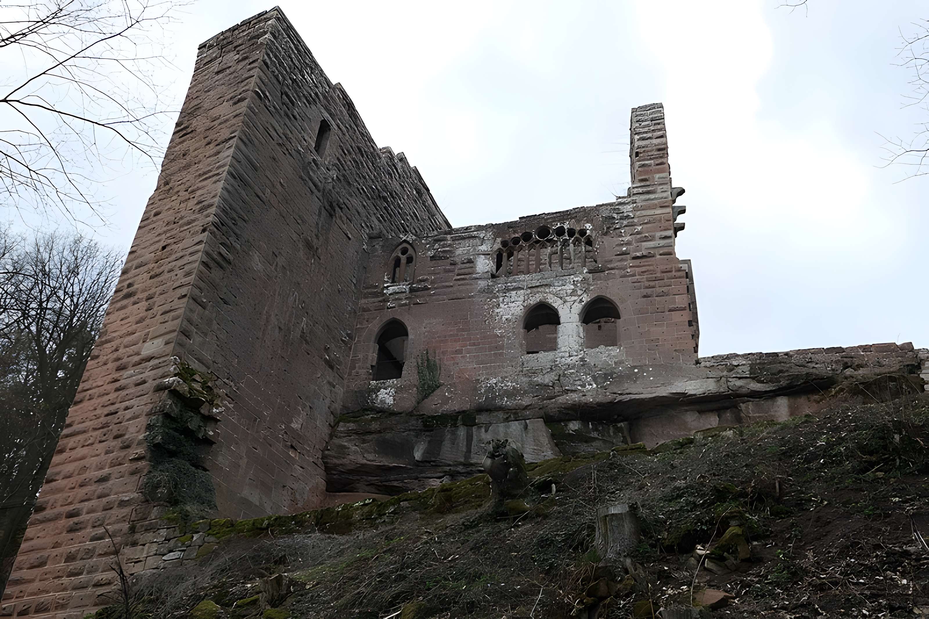 Ruines du château de Wasenbourg