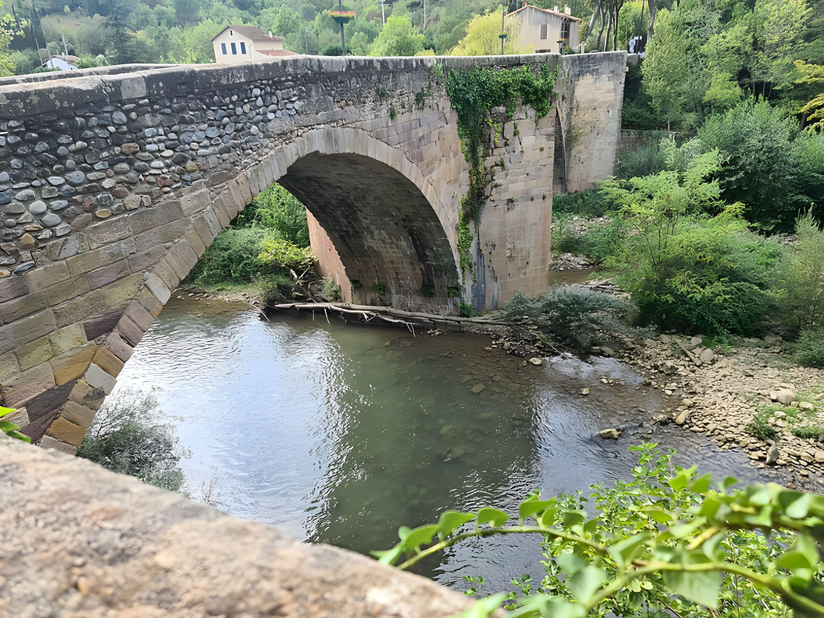 Pont