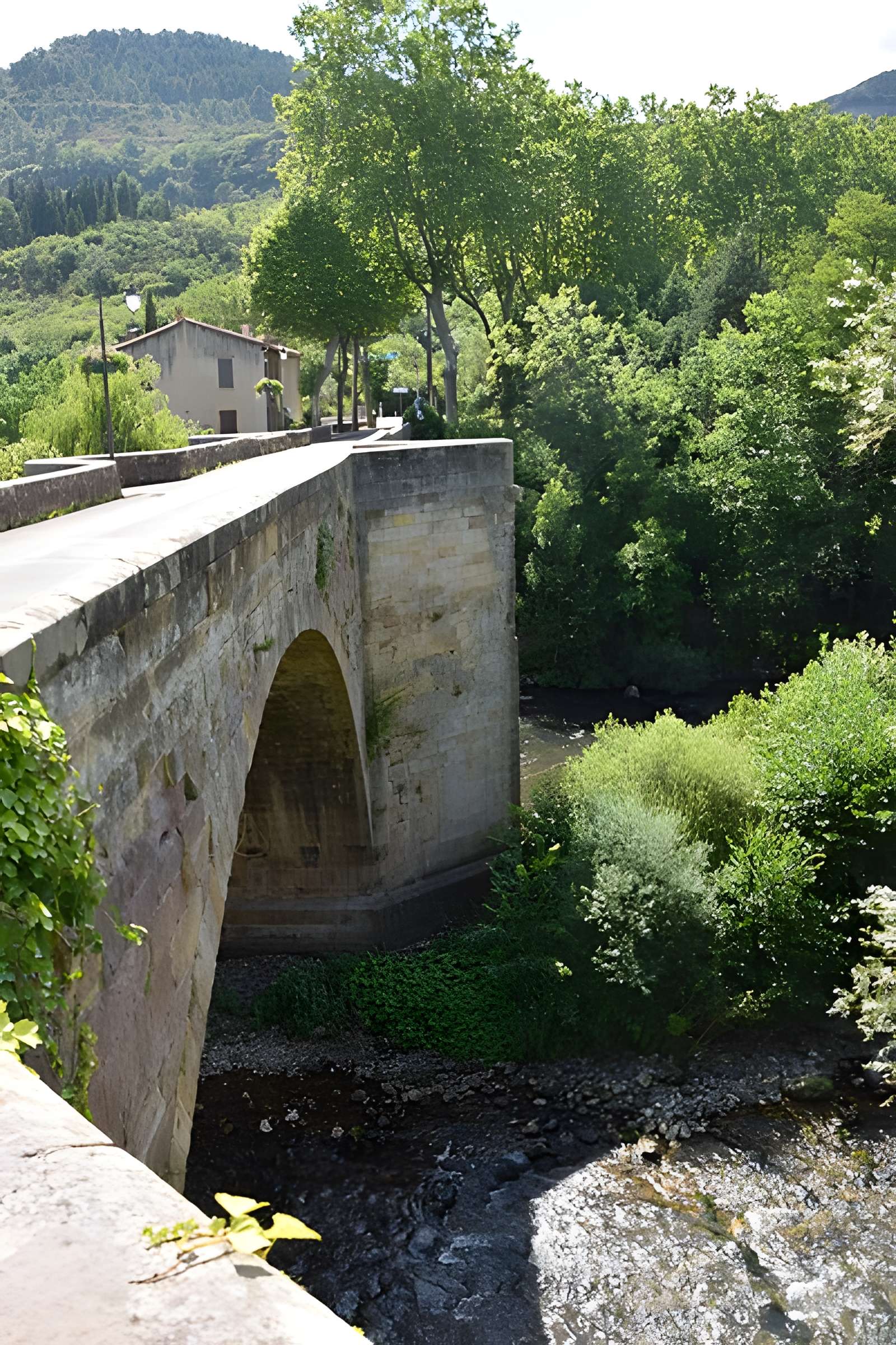 Pont