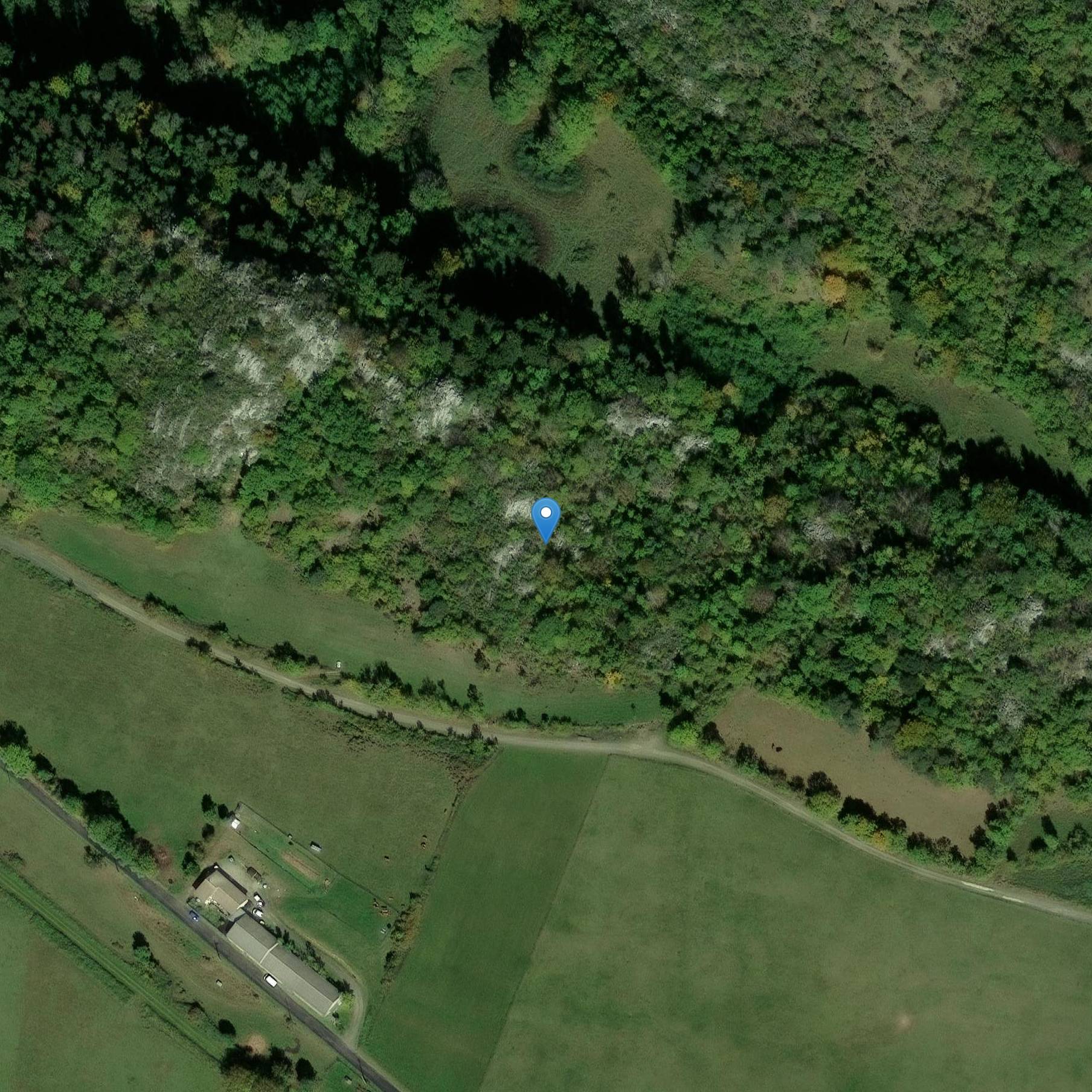 Photo de Grotta preistorica della Cauna