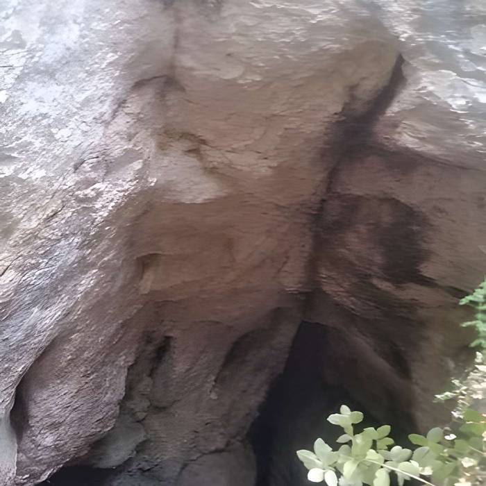 Photo de Cuevas de Las Fons y Moulin