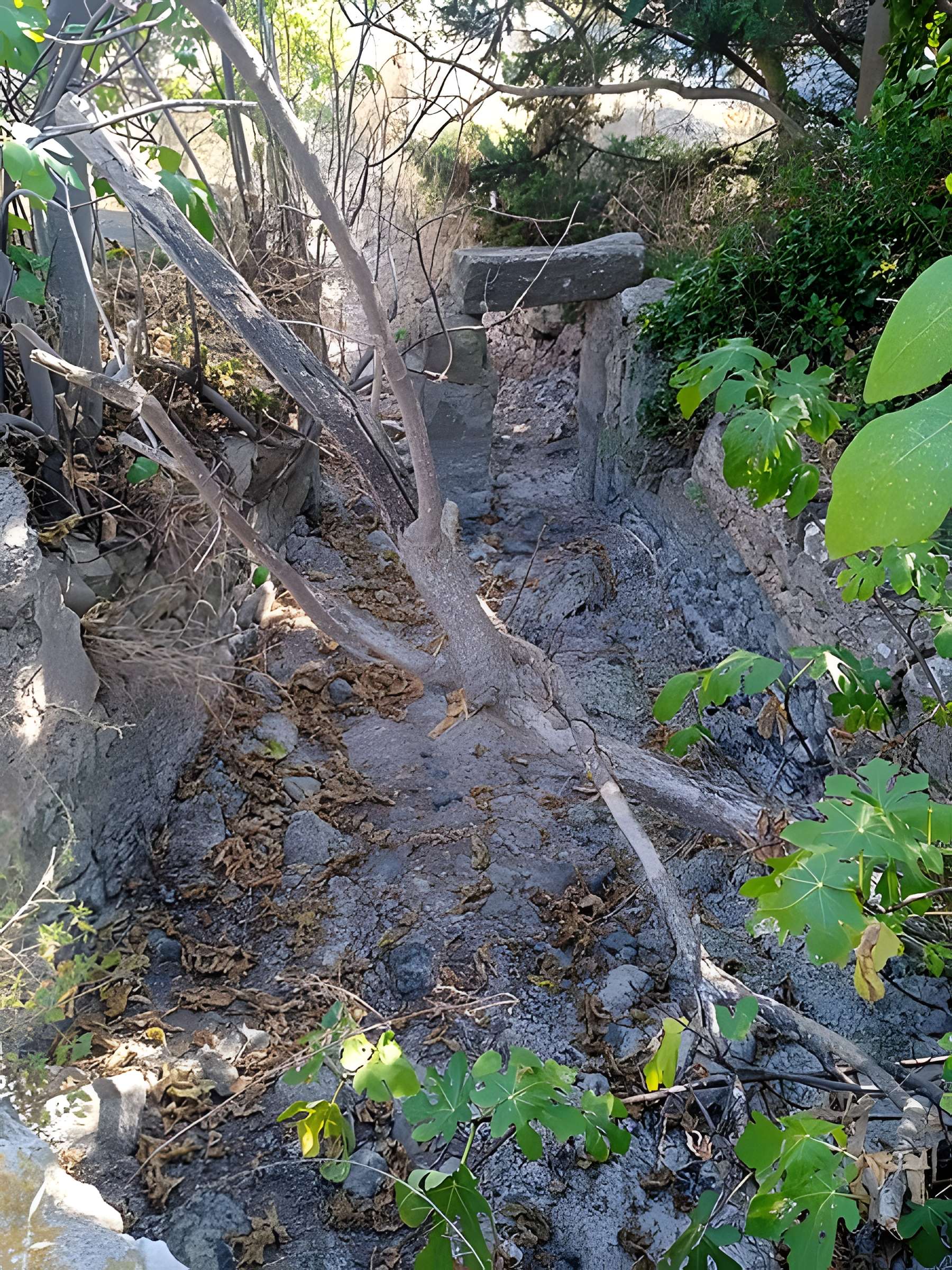 Grottes de Las Fons et du Moulin