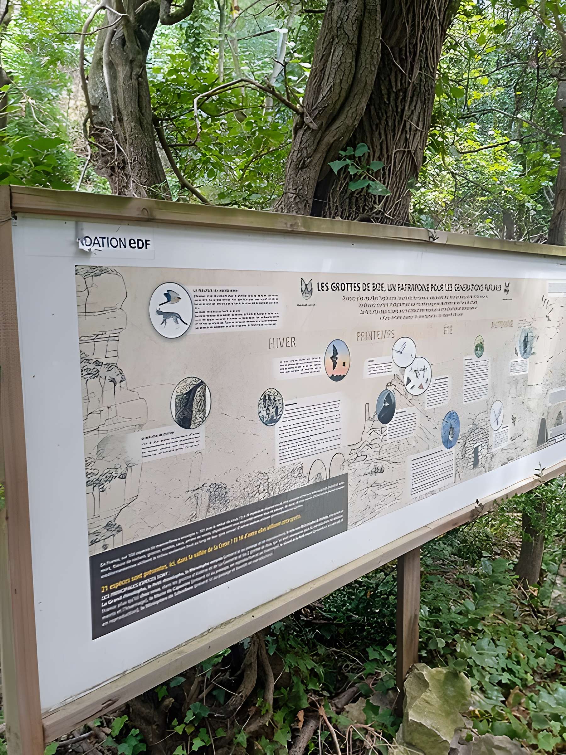 Grottes de Las Fons et du Moulin