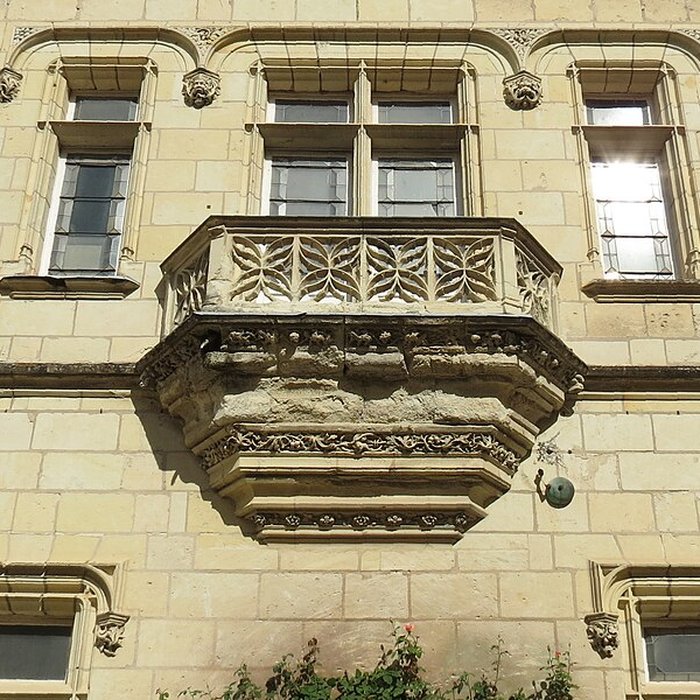 Photo de Château dUssé