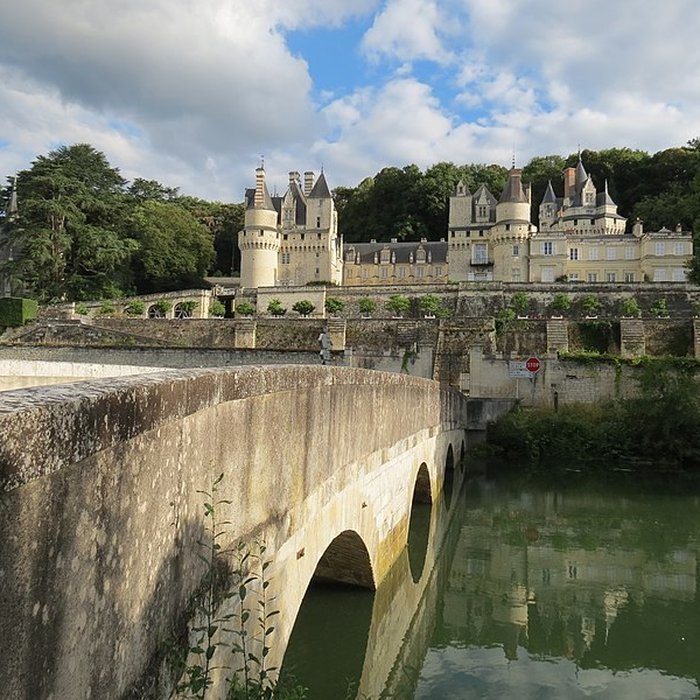 Photo de Château dUssé