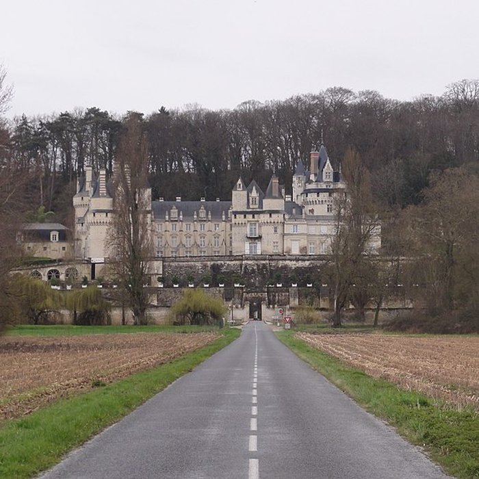 Photo de Château dUssé