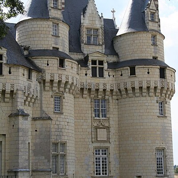 Photo de Château dUssé