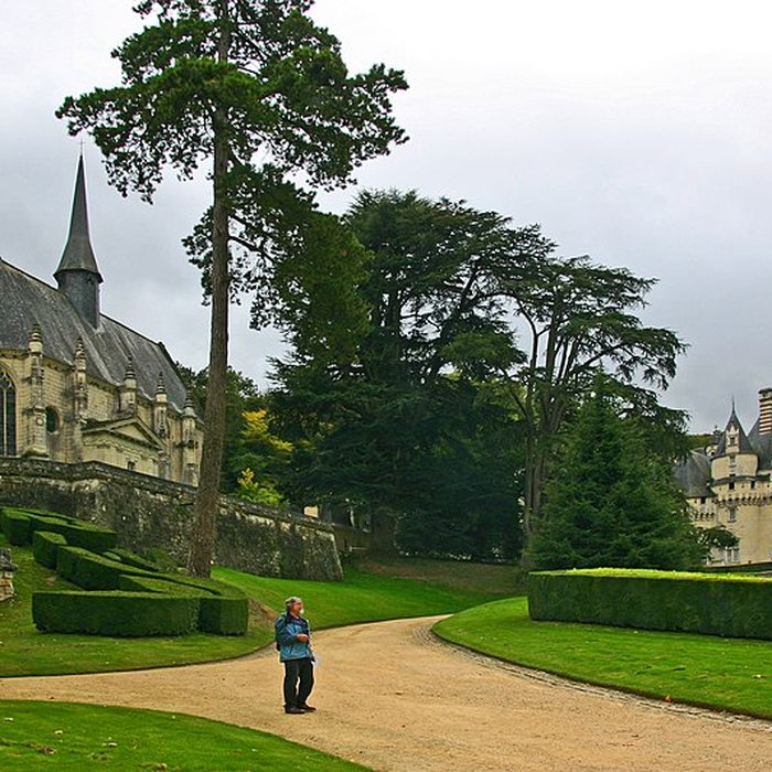 Photo de Château dUssé