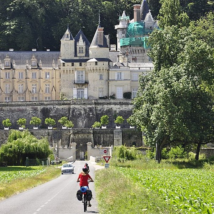 Photo de Château dUssé