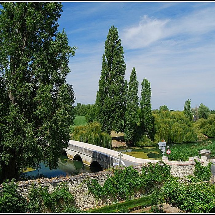 Photo de Château dUssé