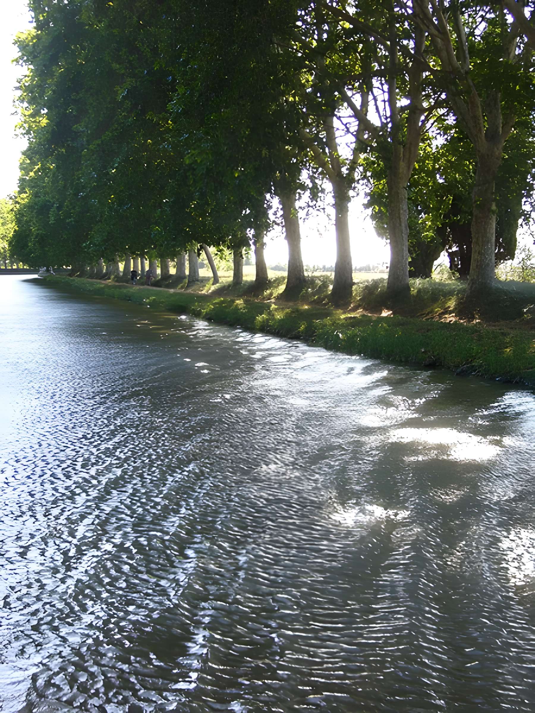 Canal du Midi