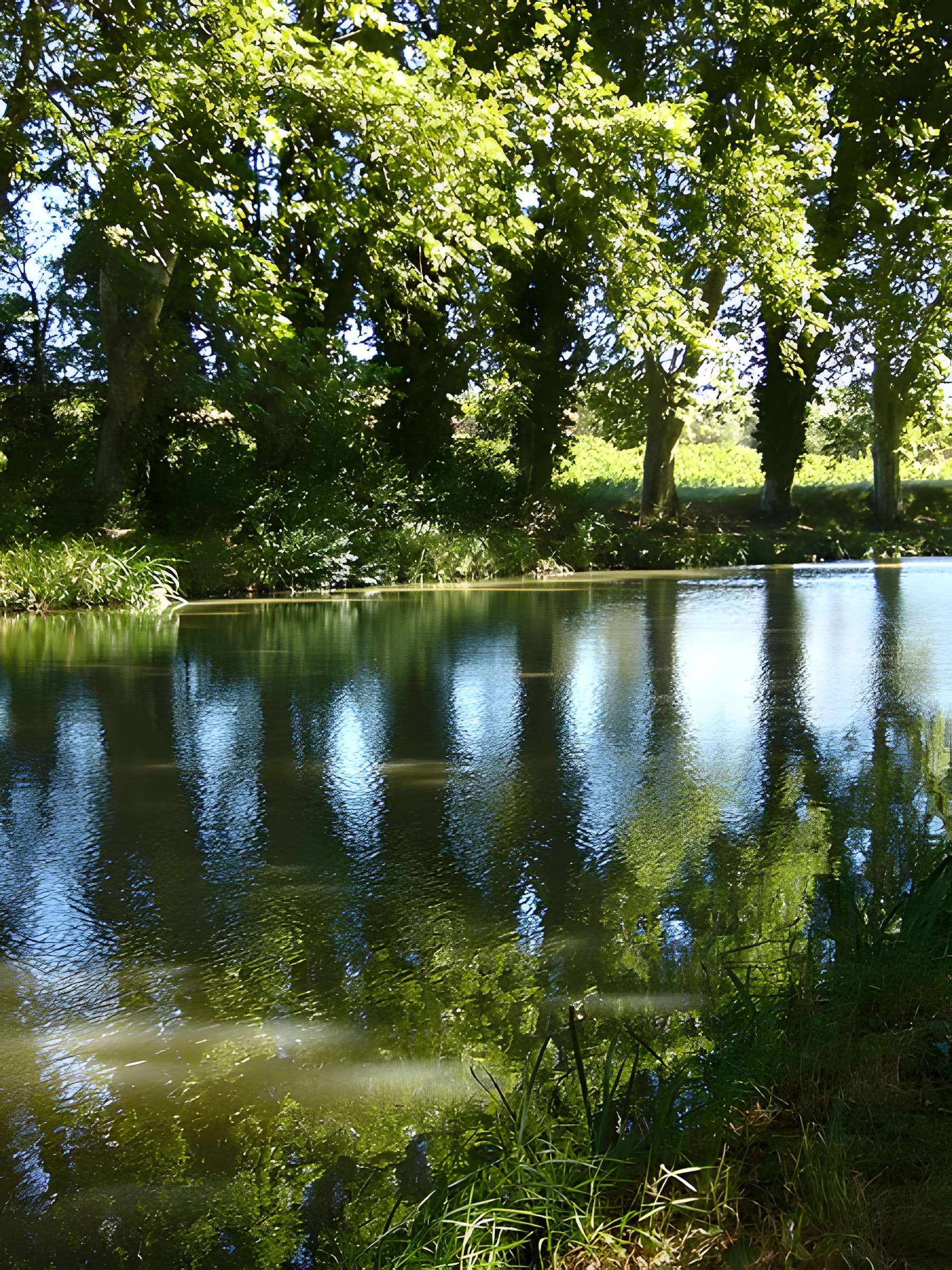 Canal du Midi