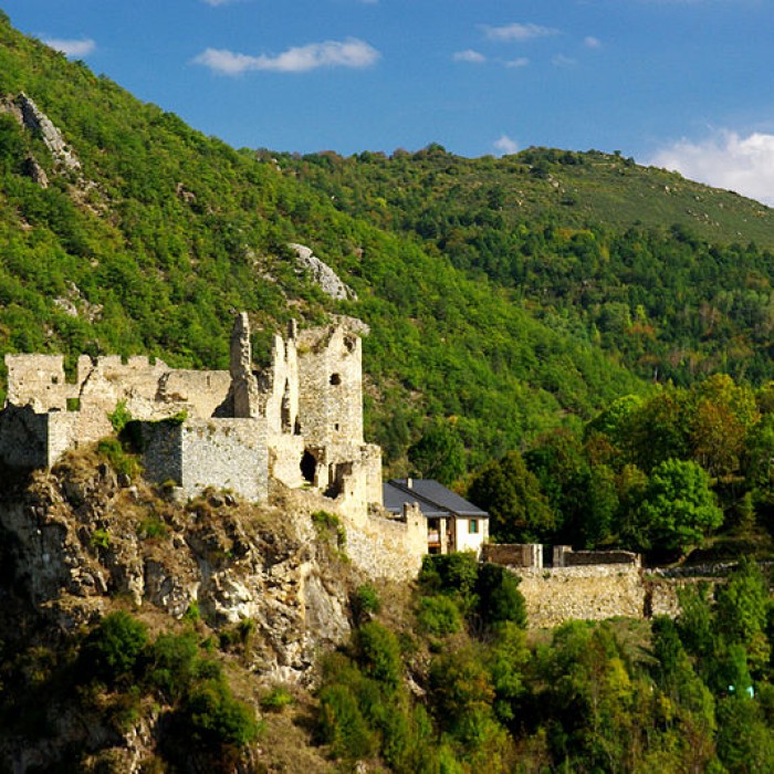 Photo de Château dUsson à Rouze