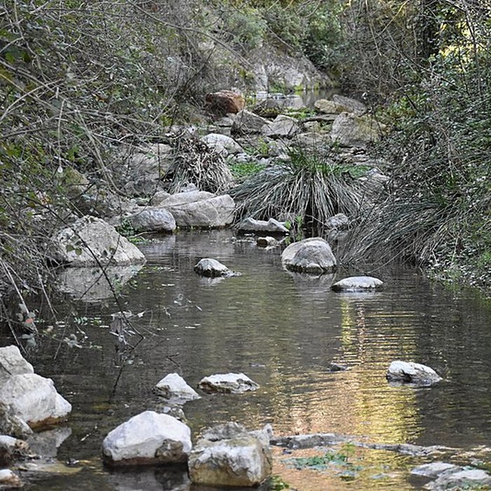 Photo de Église Notre-Dame du Cros