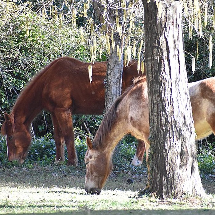 Photo de Église Notre-Dame du Cros