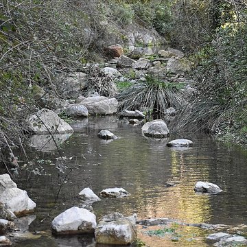 Église Notre-Dame du Cros