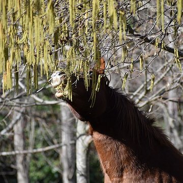 Église Notre-Dame du Cros