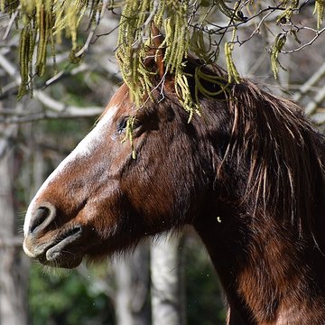 Église Notre-Dame du Cros