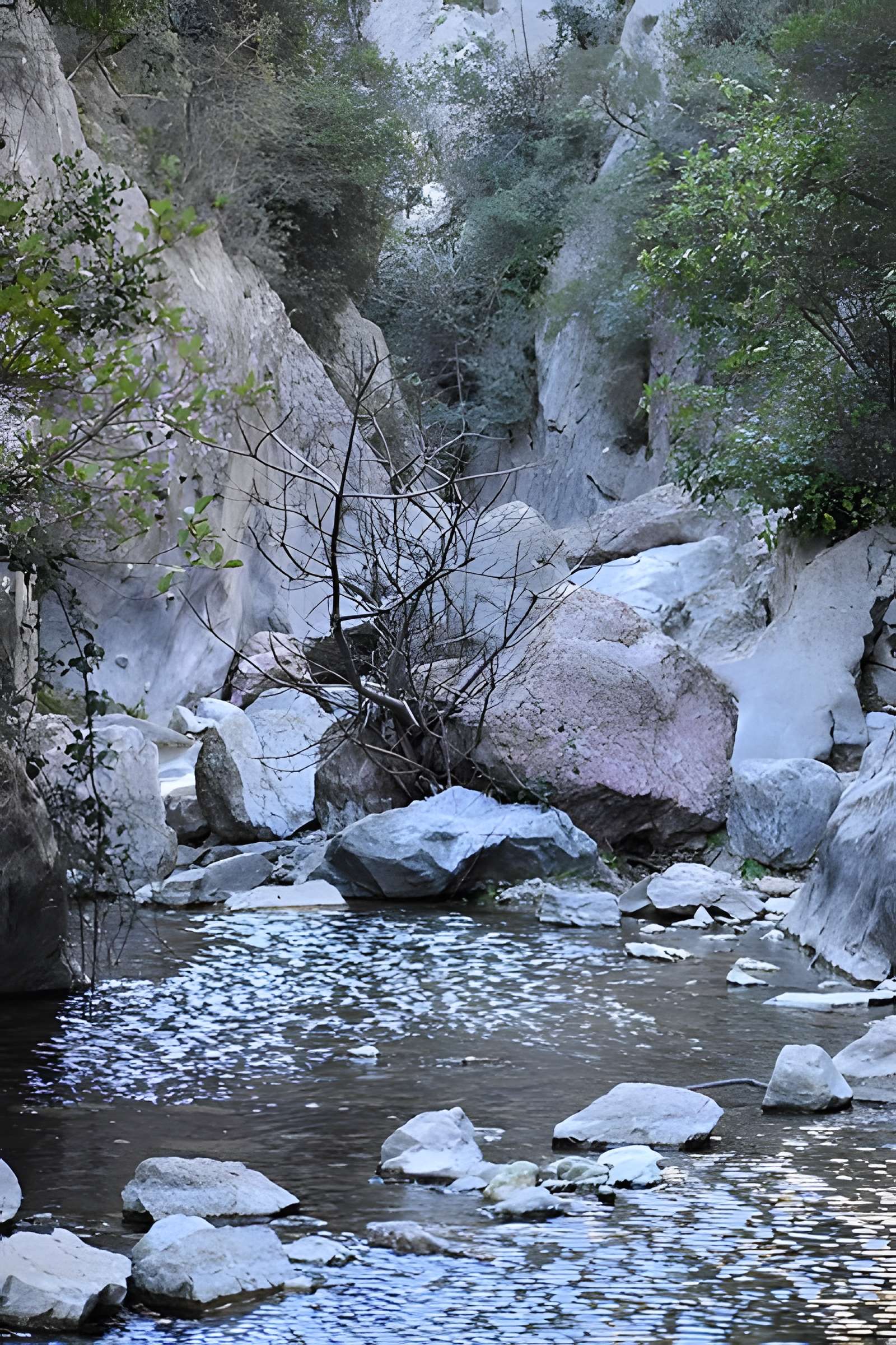 Église Notre-Dame du Cros