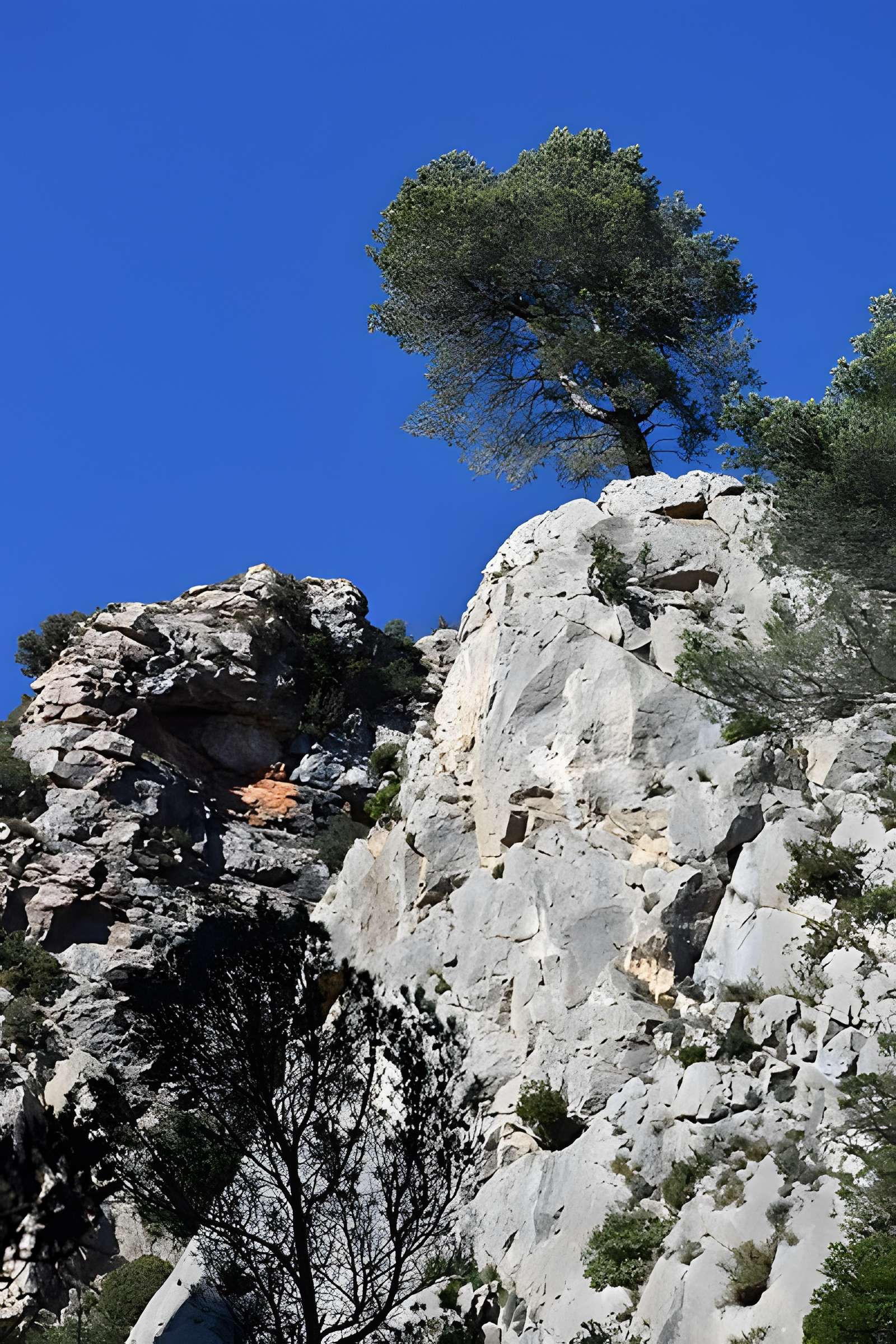 Église Notre-Dame du Cros