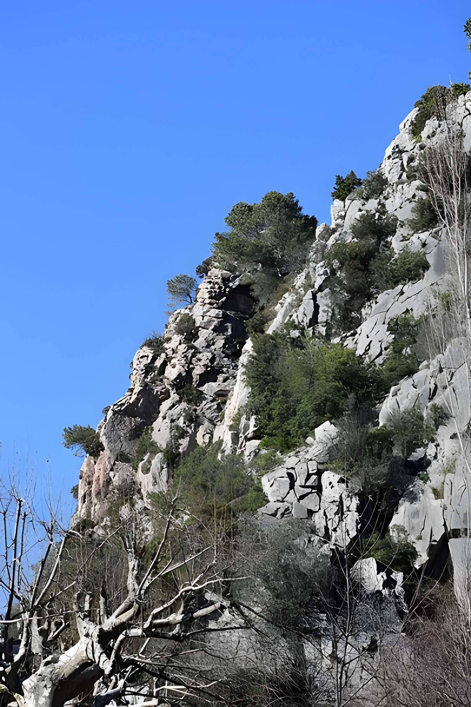 Église Notre-Dame du Cros