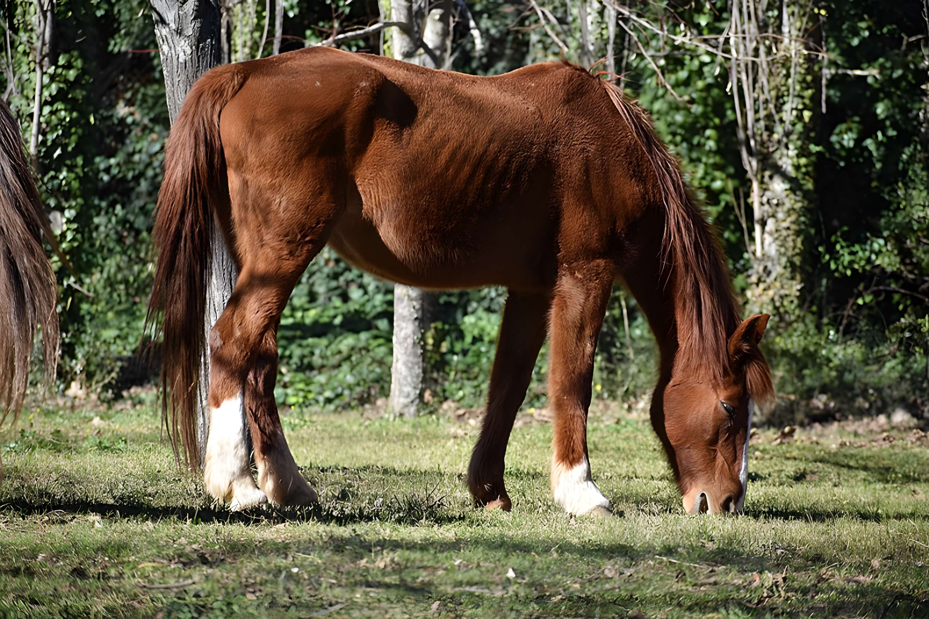 Église Notre-Dame du Cros