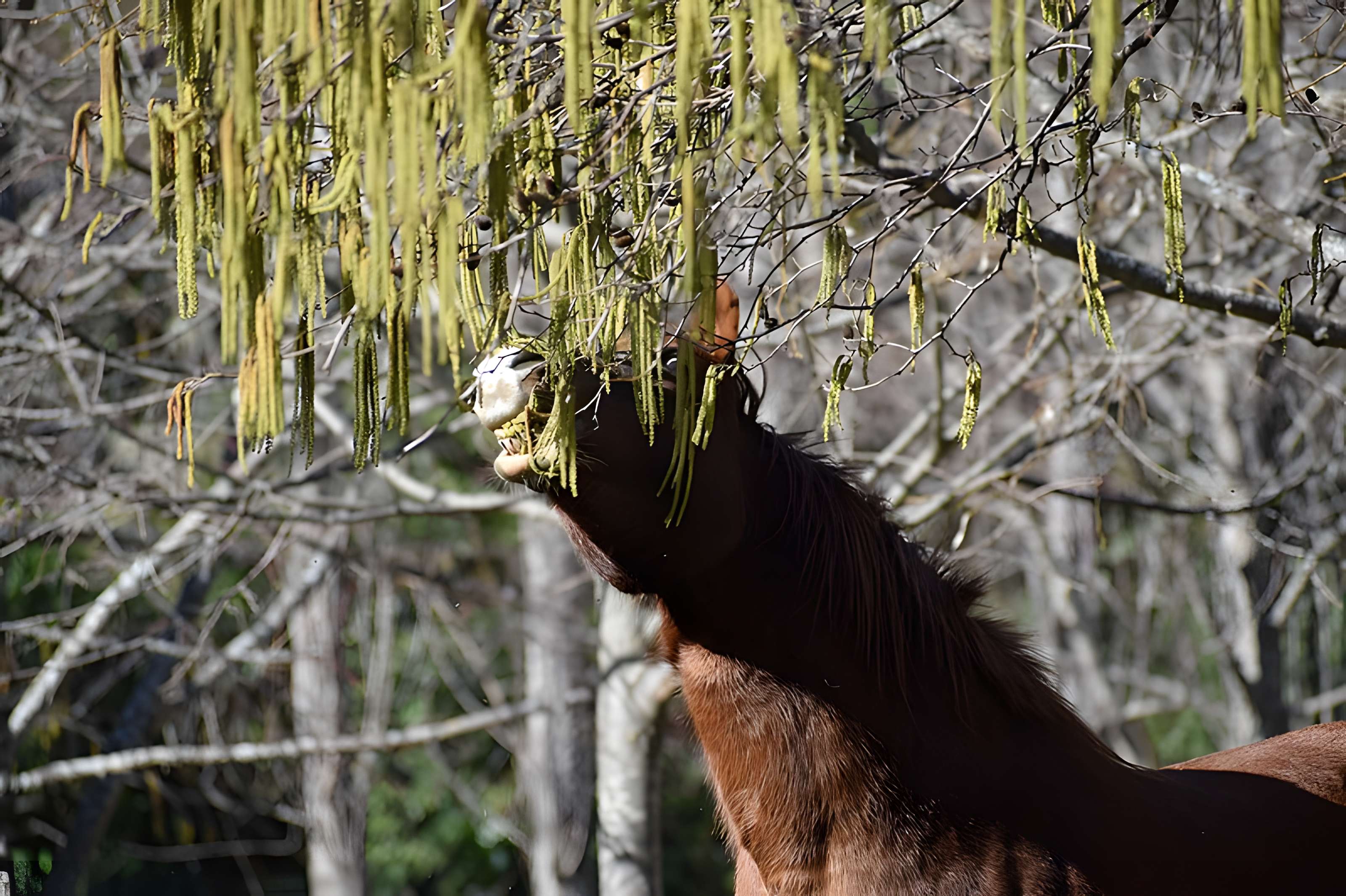 Église Notre-Dame du Cros