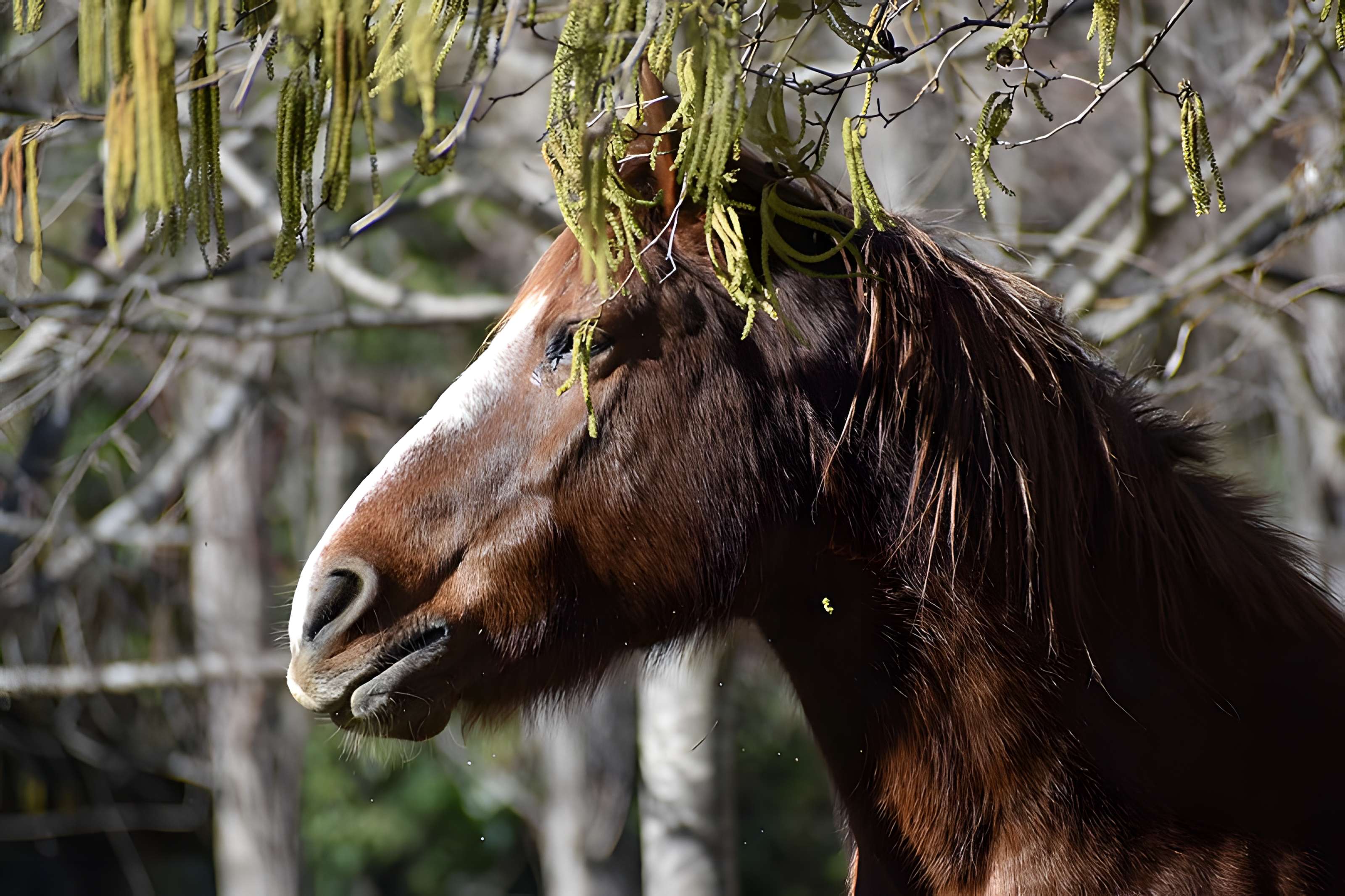 Église Notre-Dame du Cros