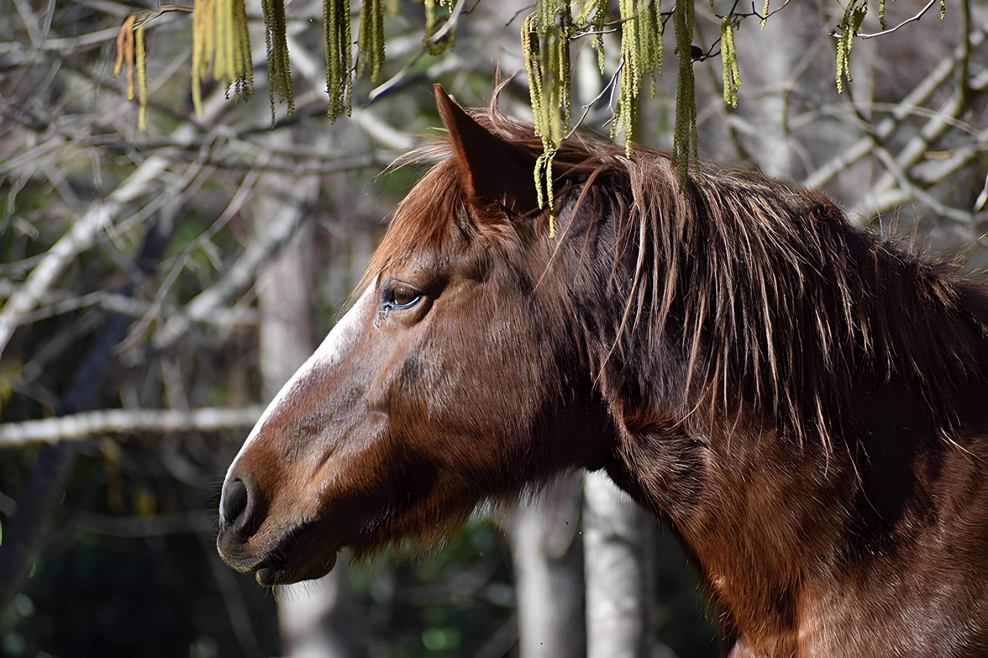 Église Notre-Dame du Cros