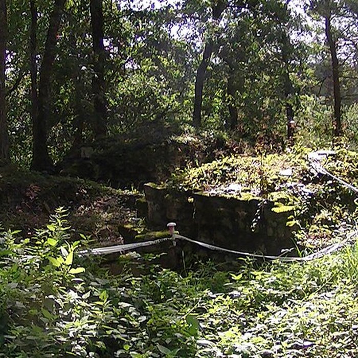 Photo de Château et ville close de Champtoceaux