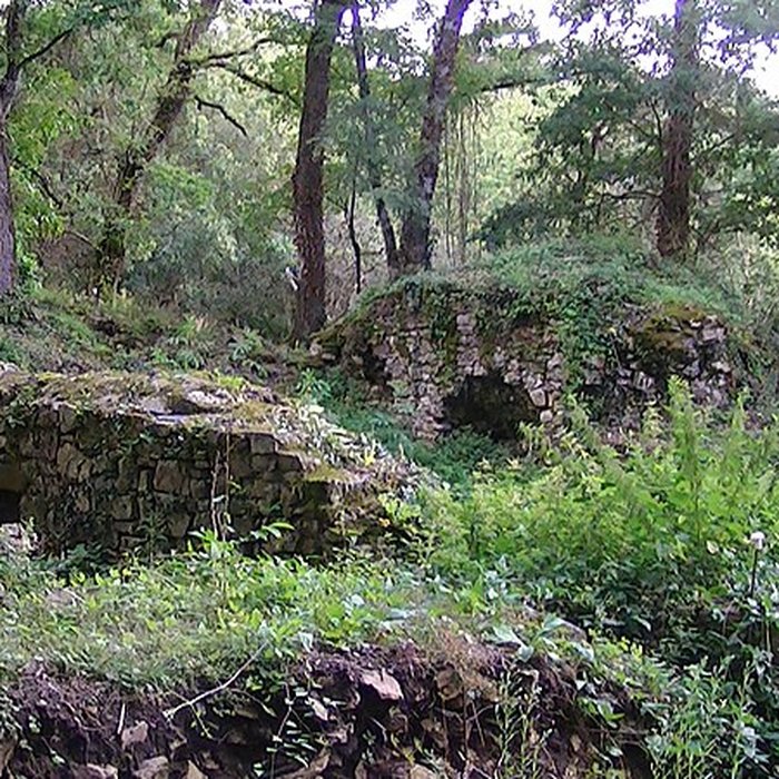 Photo de Château et ville close de Champtoceaux