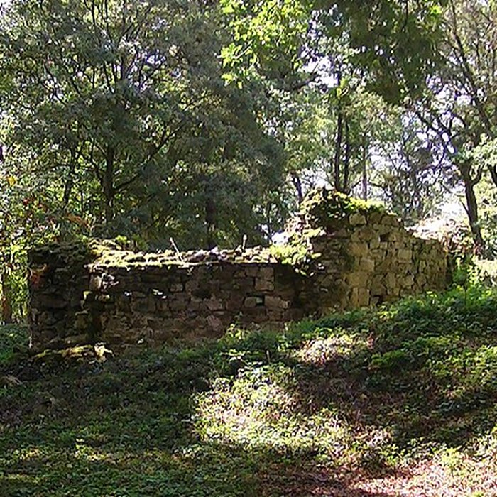 Photo de Château et ville close de Champtoceaux