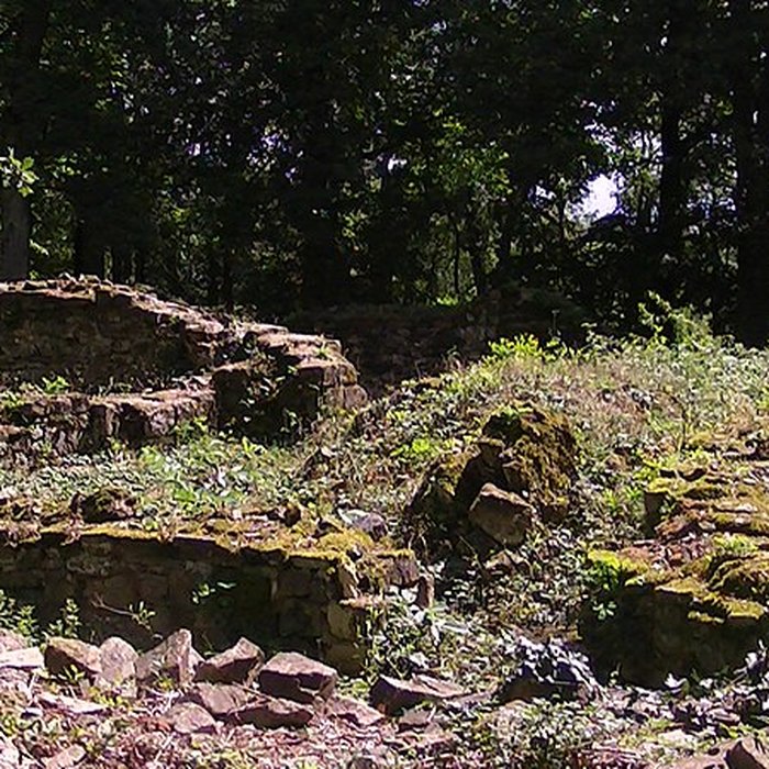Photo de Château et ville close de Champtoceaux