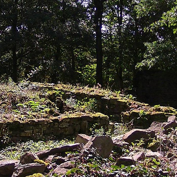 Photo de Château et ville close de Champtoceaux