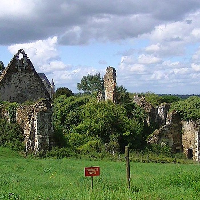 Photo de Château et ville close de Champtoceaux