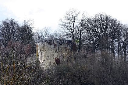 Photo de Château fort de Vignory