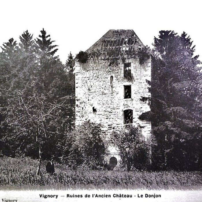 Photo de Château fort de Vignory