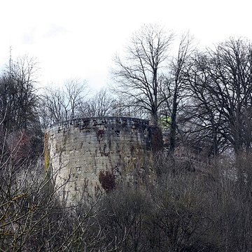chateau fort de vignory
