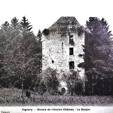 Château fort de Vignory