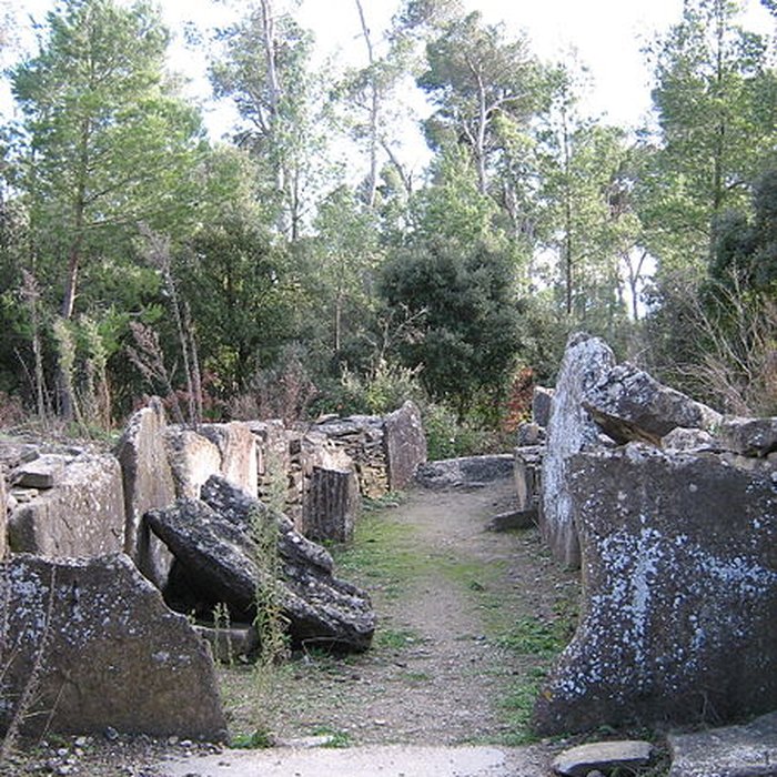 Photo de Monument mégalithique, dit Allée couverte de Saint-Eugène, sur le domaine de Russol