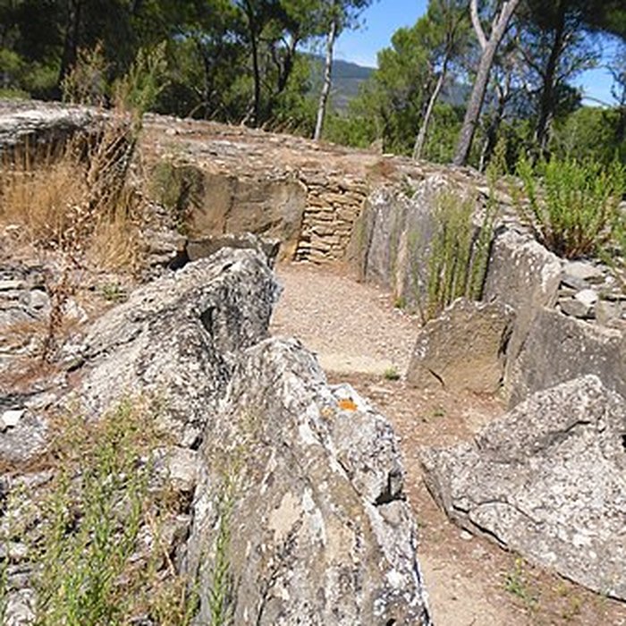 Photo de Monument mégalithique, dit Allée couverte de Saint-Eugène, sur le domaine de Russol