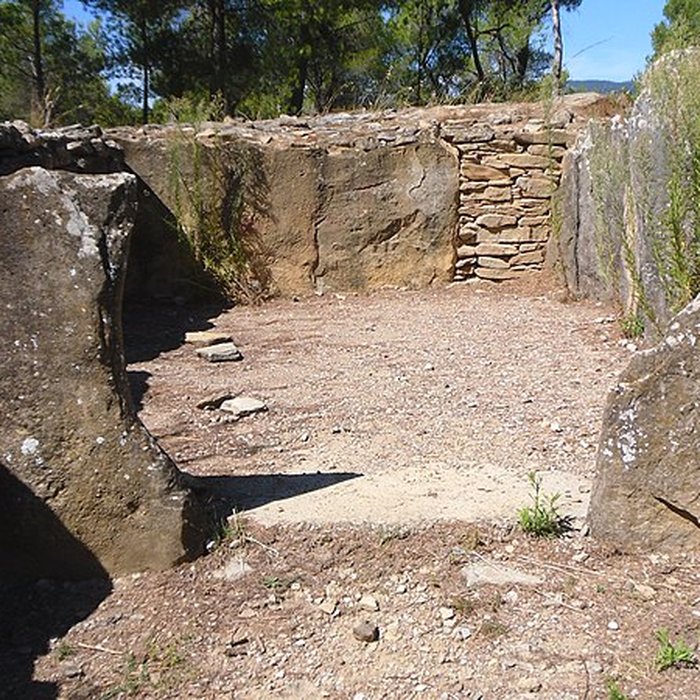 Photo de Monument mégalithique, dit Allée couverte de Saint-Eugène, sur le domaine de Russol