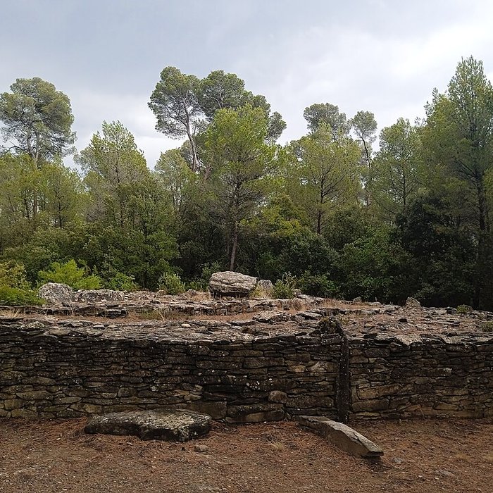 Photo de Monument mégalithique, dit Allée couverte de Saint-Eugène, sur le domaine de Russol