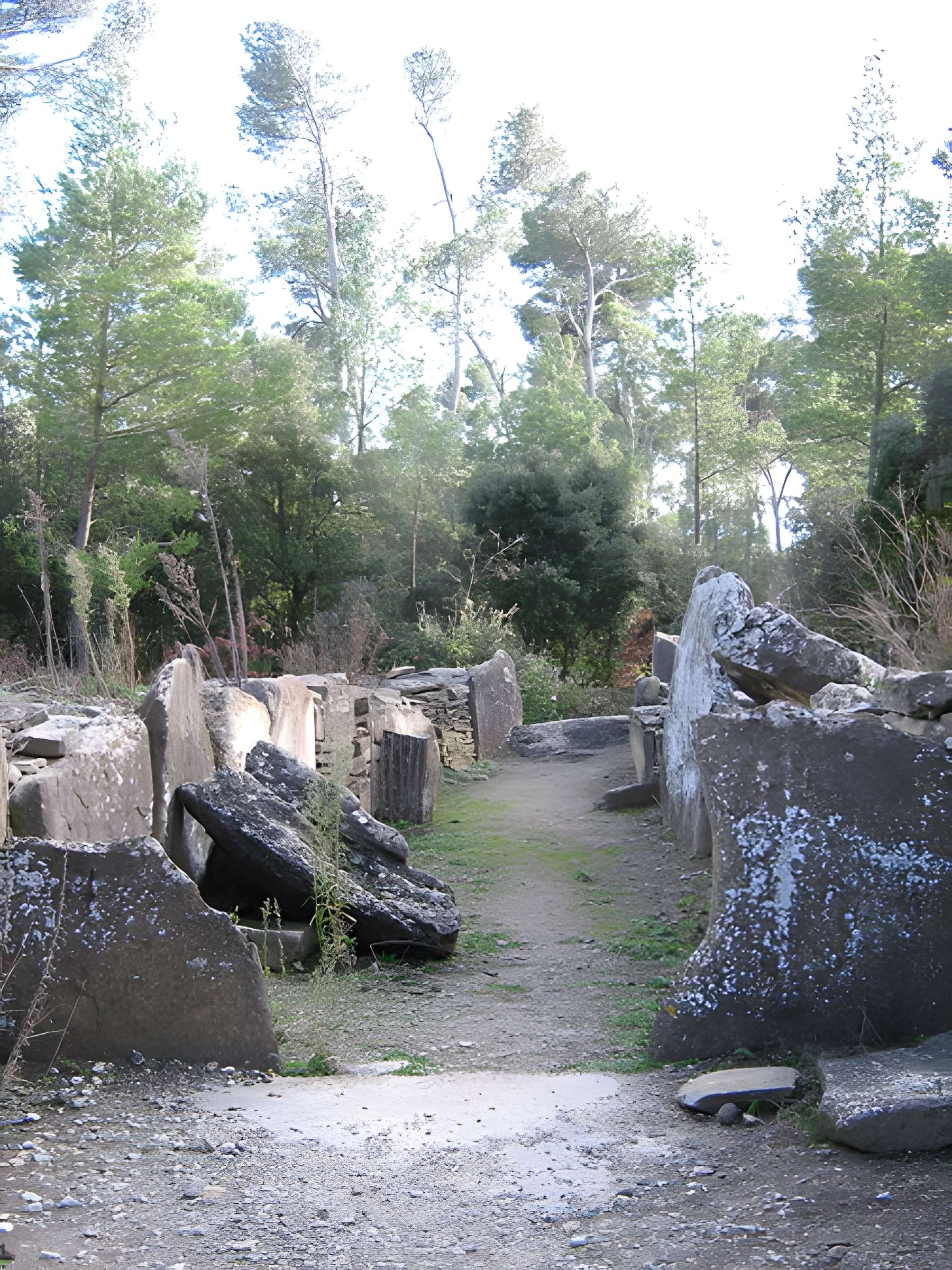 Monument mégalithique, dit Allée couverte de Saint-Eugène, sur le domaine de Russol
