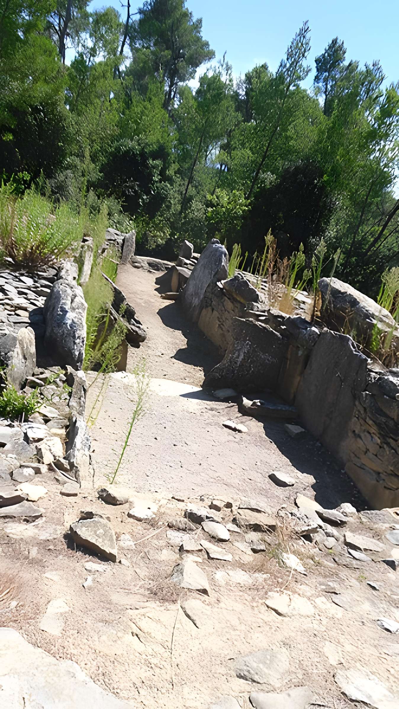 Monument mégalithique, dit Allée couverte de Saint-Eugène, sur le domaine de Russol