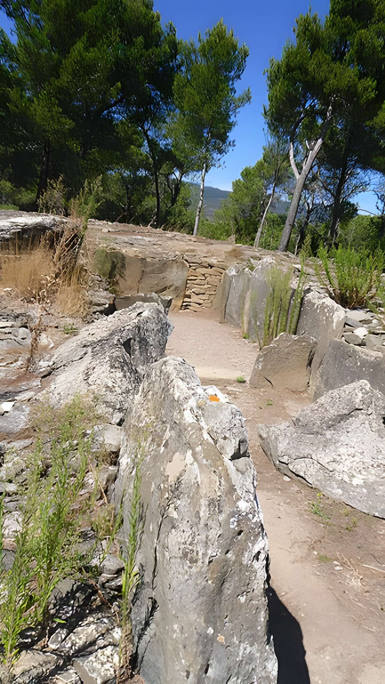 Monument mégalithique, dit Allée couverte de Saint-Eugène, sur le domaine de Russol