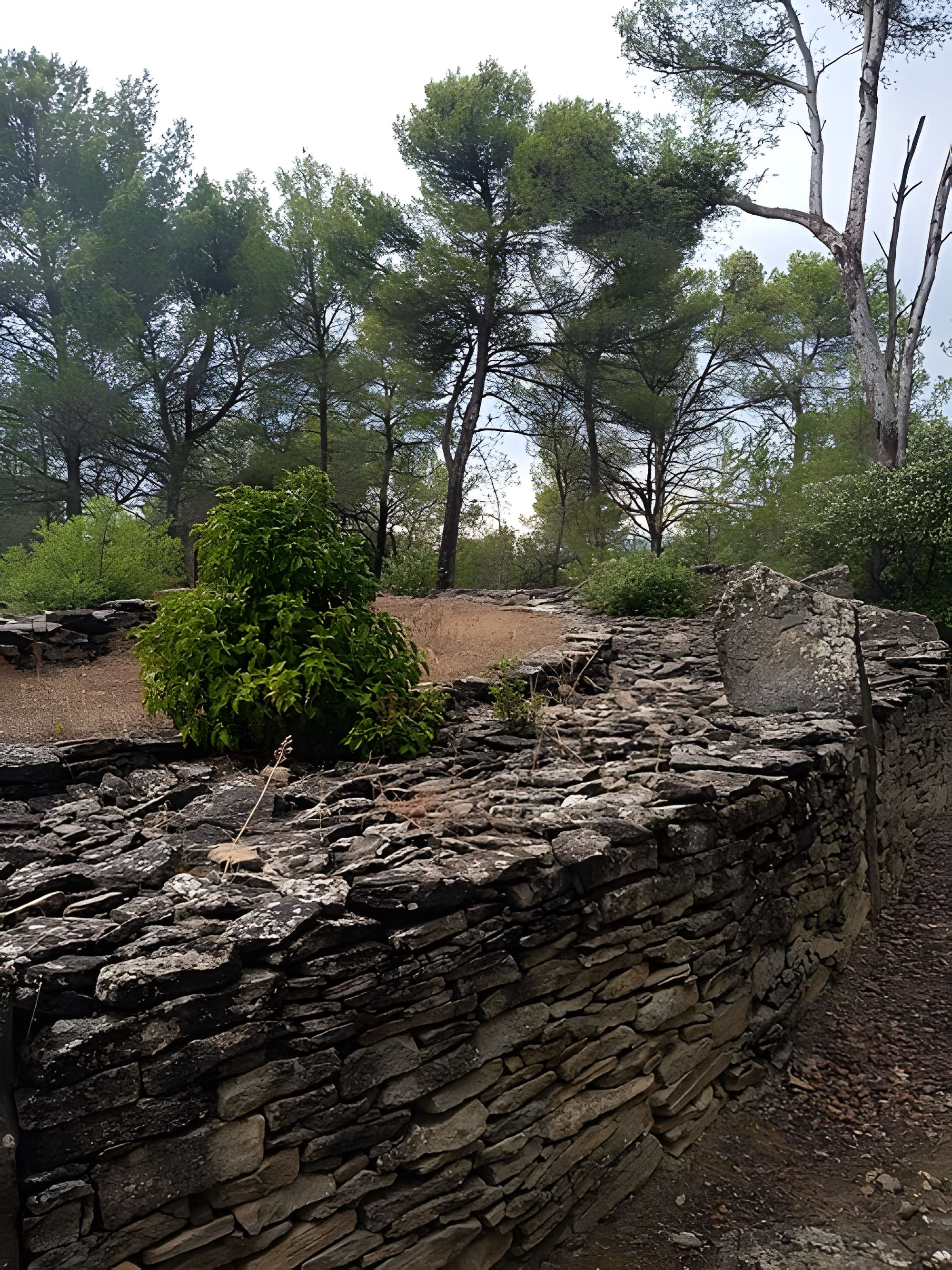 Monument mégalithique, dit Allée couverte de Saint-Eugène, sur le domaine de Russol