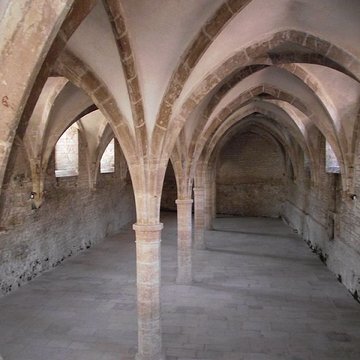 Abbaye de Cluny