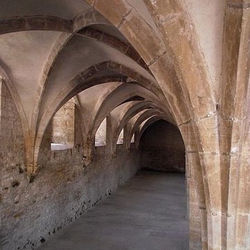 Abbaye de Cluny