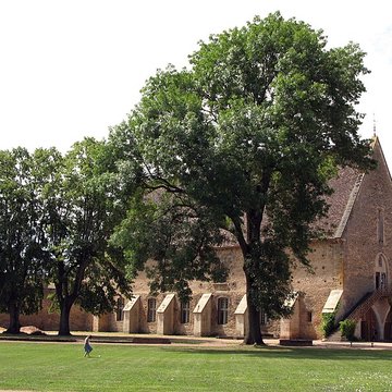 Abbaye de Cluny